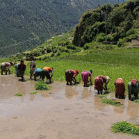 नेपाल–भारत सिमामा पर्खाल लगाऔँ, भिसा प्रणाली लागू गरौँ : सदस्य गौतम