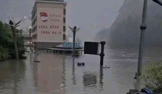 भैँसीपालनमा यादव समुदायको आकर्षण