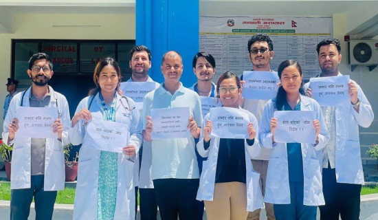 विश्व मिर्गौला दिवसको अवसरमा विभिन्न कार्यक्रम हुँदै
