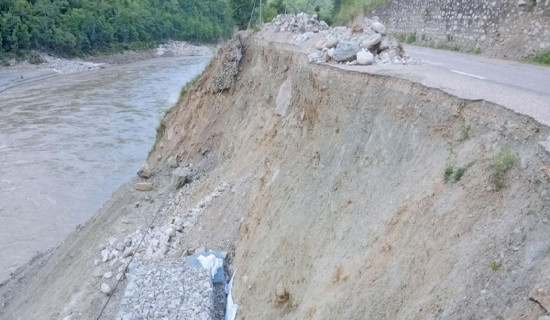 भैँसीपालनमा यादव समुदायको आकर्षण