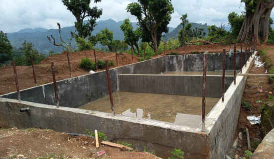 गण्डकी प्रदेशमा खाद्यान्नको न्यूनतम समर्थन मूल्य बढी
