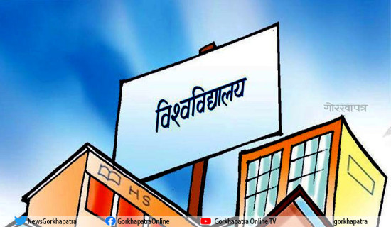 विश्वविद्यालयमा बेथिति : ऐन एउटै, पैँतिस नियम, सोह्र कार्यविधि