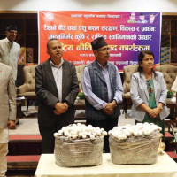 मलेसियाको उत्पादकमूल्य २.४ प्रतिशतले घट्यो