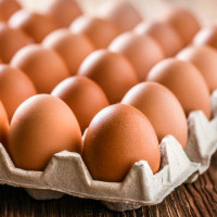 कालिगण्डकी कोरिडोरको कागबेनी–कोरला खण्ड कालोपत्रे योजना अघि बढाइने