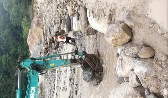 राजनीतिले लगानीकर्तामाझ उत्साह भर्न सक्नुपर्छ : राष्ट्रपति