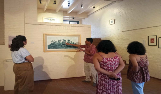 मनुको एकल कला प्रदर्शनी