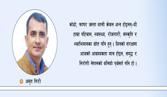 रैथाने बालीको पहिचान