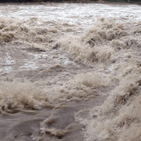 पर्सामा रास्वपाका अध्यक्ष लामिछानेसहित १४ जनालाई पक्राउ पुर्जी