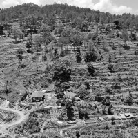 पाल्पा बस दुर्घटनामा मृत्यु भएका ६ जनाकै खनाखत