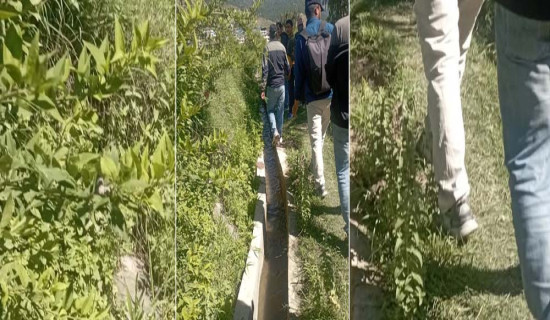 ताप्लेजुङमा चट्याङ लागेर घाइते भएका एकको मृत्यु