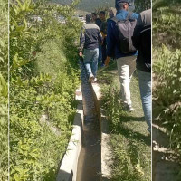पाल्पाका अधिकांश पशु बाहिर निर्यात