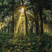 हिलेमा सोनाम ल्होसारमा कार्यक्रम
