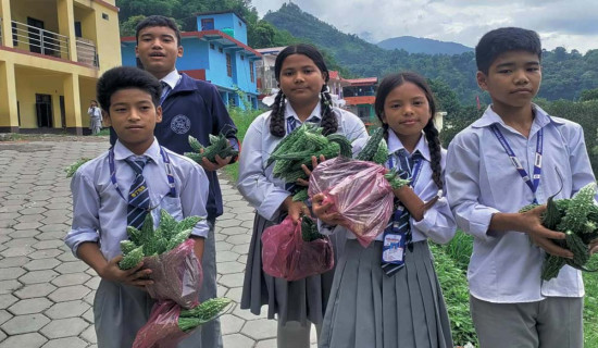 ‘पढ्दै कमाउँदै’ अभियानमा विद्यार्थी