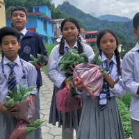 नारायणी नदी तटबन्ध : रकम अभावले प्रभावित