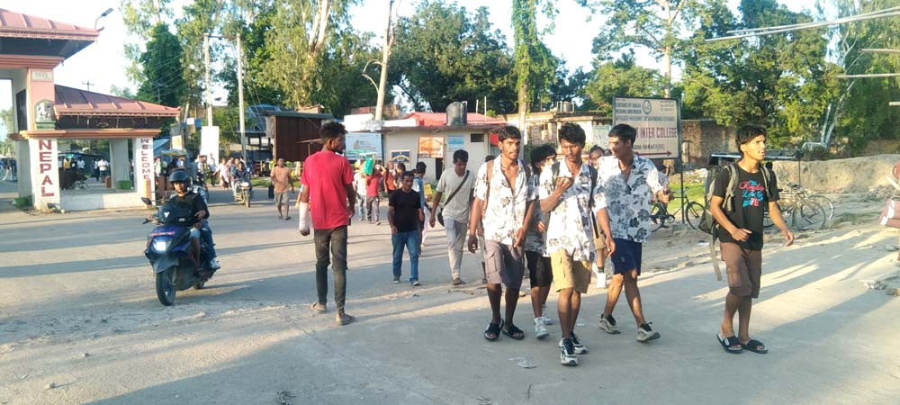 रोजगारी नपाएपछि भारततिरै
