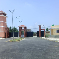 लगातारको वर्षाले तरकारी किसान आजित