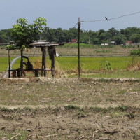 स्पेनको वृद्धाश्रममा आगलागी हुँदा कम्तीमा १० जनाको मृत्यु
