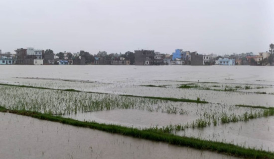 विपत् प्रतिकार्य योजना अद्यावधिक