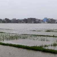 बालगृहका बालबालिकालाई परम्परागत सीप