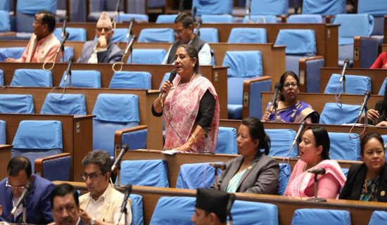 विपद्‍बाट क्षति न्यूनीकरण गर्न सरकारको ध्यानाकर्षण