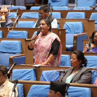 अर्थ समितिका काम प्रभावकारी बनाउन छलफल
