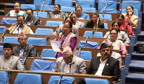 संवैधानिक परिषद्सम्बन्धी विधेयक प्रतिनिधिसभाबाट स्वीकृत