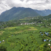 पर्वतमा जेठदखि नै धान र कोदो रोपाइँ