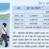 कालोपत्रे सडकमा मकै