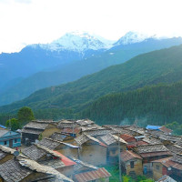 ढोरपाटनमा सिकारका लागि पहिलो याम सुरु, झण्डै डेढ करोड राजस्व आम्दानी
