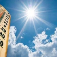 संसद् कर्मचारीका माग सम्बोधन गराउन पहल गर्ने निर्णय
