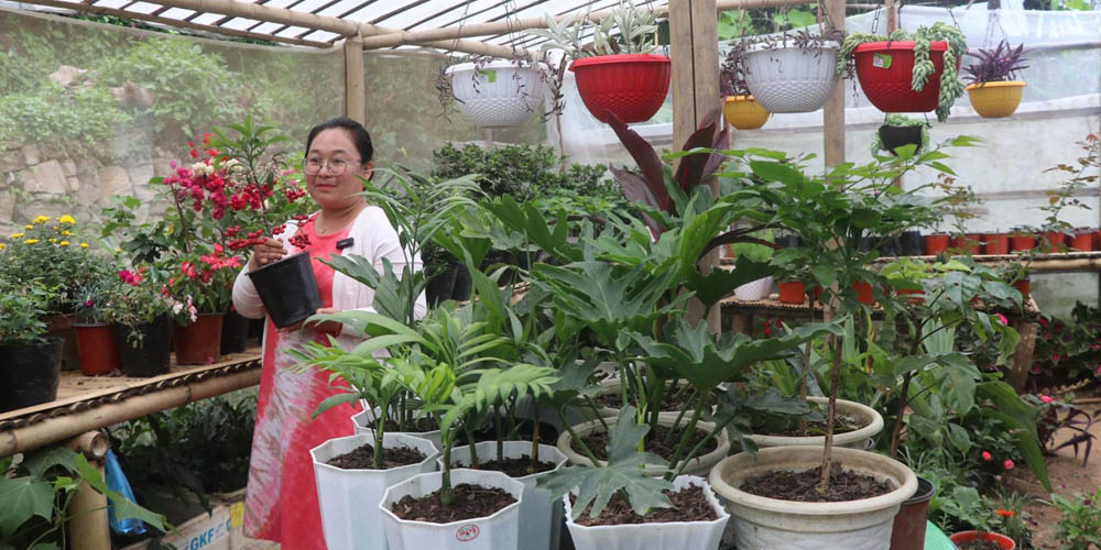 फूलसँग खेल्दाखेल्दै नर्सरी व्यवसाय सुरु गर्नुभएकी सविना