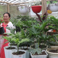 ‘देशको चिन्ता गर्नु नागरिकको कर्तव्य’