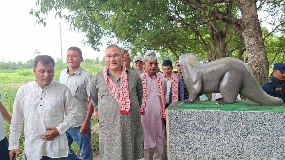 मुख्यमन्त्री शाहद्वारा योजना अनुगमन