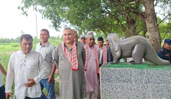 मुख्यमन्त्री शाहद्वारा योजना अनुगमन
