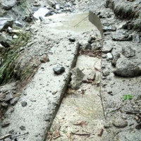 हात्तीलाई आगोको घेराबन्दी