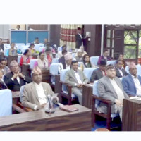 हुम्लामा फल्यो फुजी स्याउ