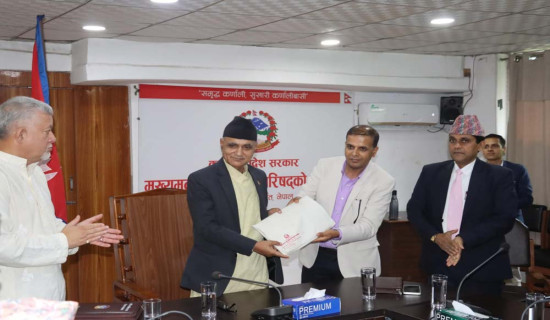 मन्त्रालय घटाउन र निर्देशनालय खारेज गर्न सुझाव
