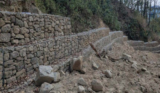 पहिरोको अनुसन्धान गर्न बेलायत पठाइयो चिप्स