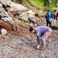 तराईमै लटरम्म फल्यो सुन्तला