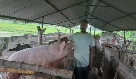 गिद्धको संरक्षणमा रेस्टुरेन्ट