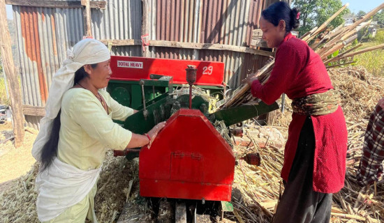 प्रादेशिक आयुर्वेद चिकित्सालयबाट १९ हजारले लिए उपचार सेवा