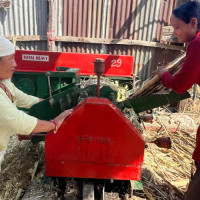 महाकाली कोरिडोरको अठहत्तर प्रतिशत ट्र्याक खुल्यो