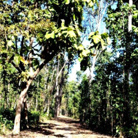 सैलुङमा ‘वाइल्ड स्टे विथ चौँरी भेडी गोठ आयोजना हुने