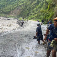 डेंगु सङ्क्रमित सङ्ख्या ११ हजार ८६५ पुग्यो