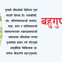 इन्टरनेट यसरी आउँछ   घर–घरमा .........