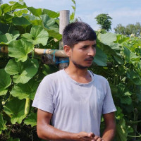 भिरालो बस्तीमा डरैडरको बास