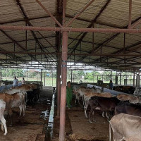 भवन निर्माण कार्य अलपत्र