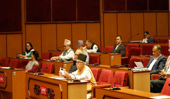 बजेटमा मन्त्रालयगत छलफल