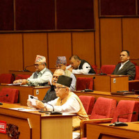 जनशक्ति अभाव झेल्दै परराष्ट्र