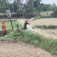 नवलपरासीपूर्वका किसानलाई चैतेधान भित्र्याउने चटारो